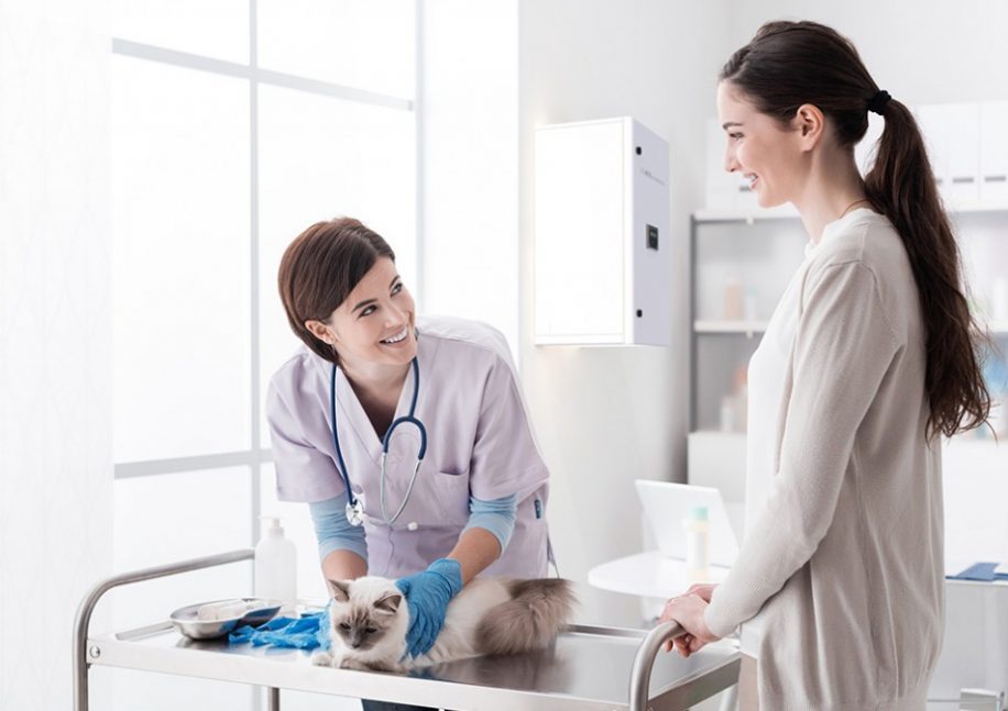 Veteriner Klinik Hava Temizliği